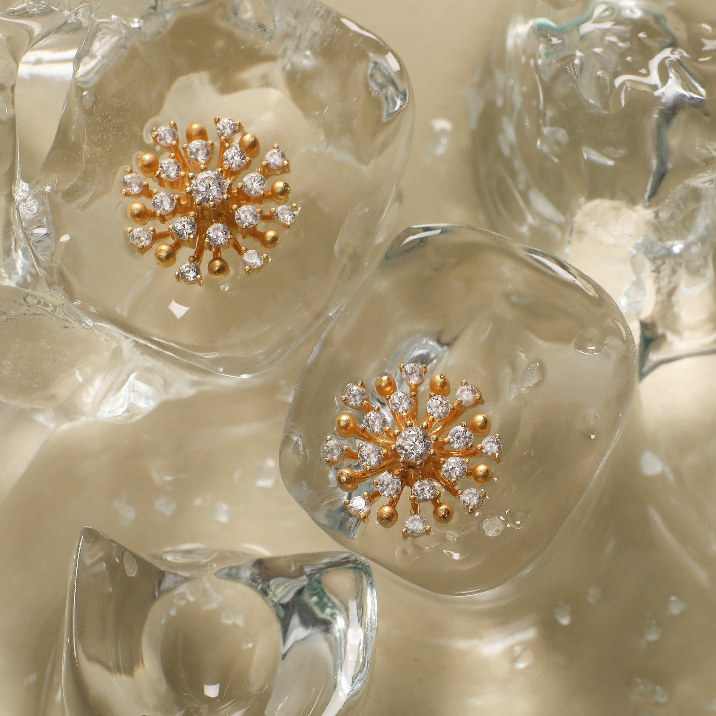 Nakshatra Silver Stud Earrings