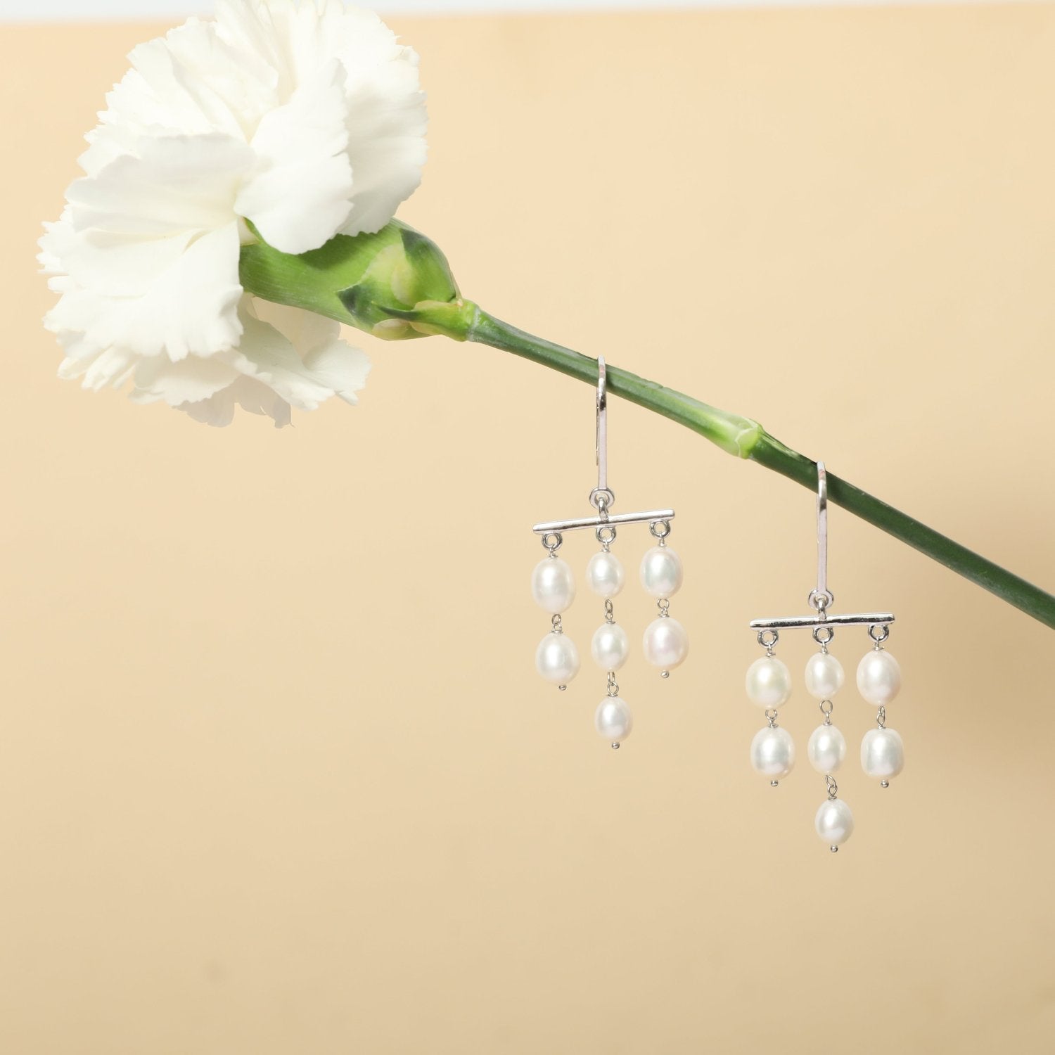 Luna Silver Drop Earrings