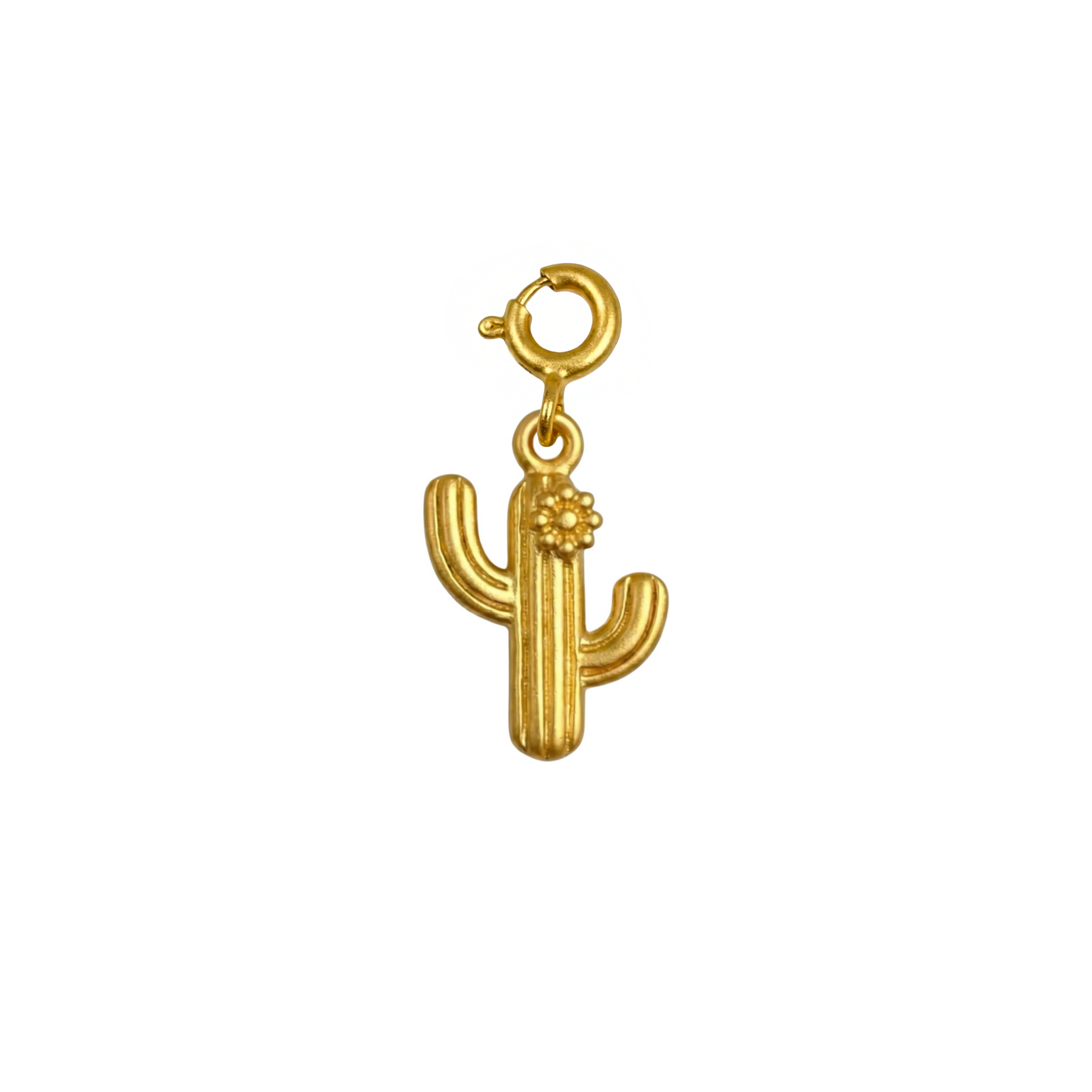 Wanderlust Cactus Silver Charm