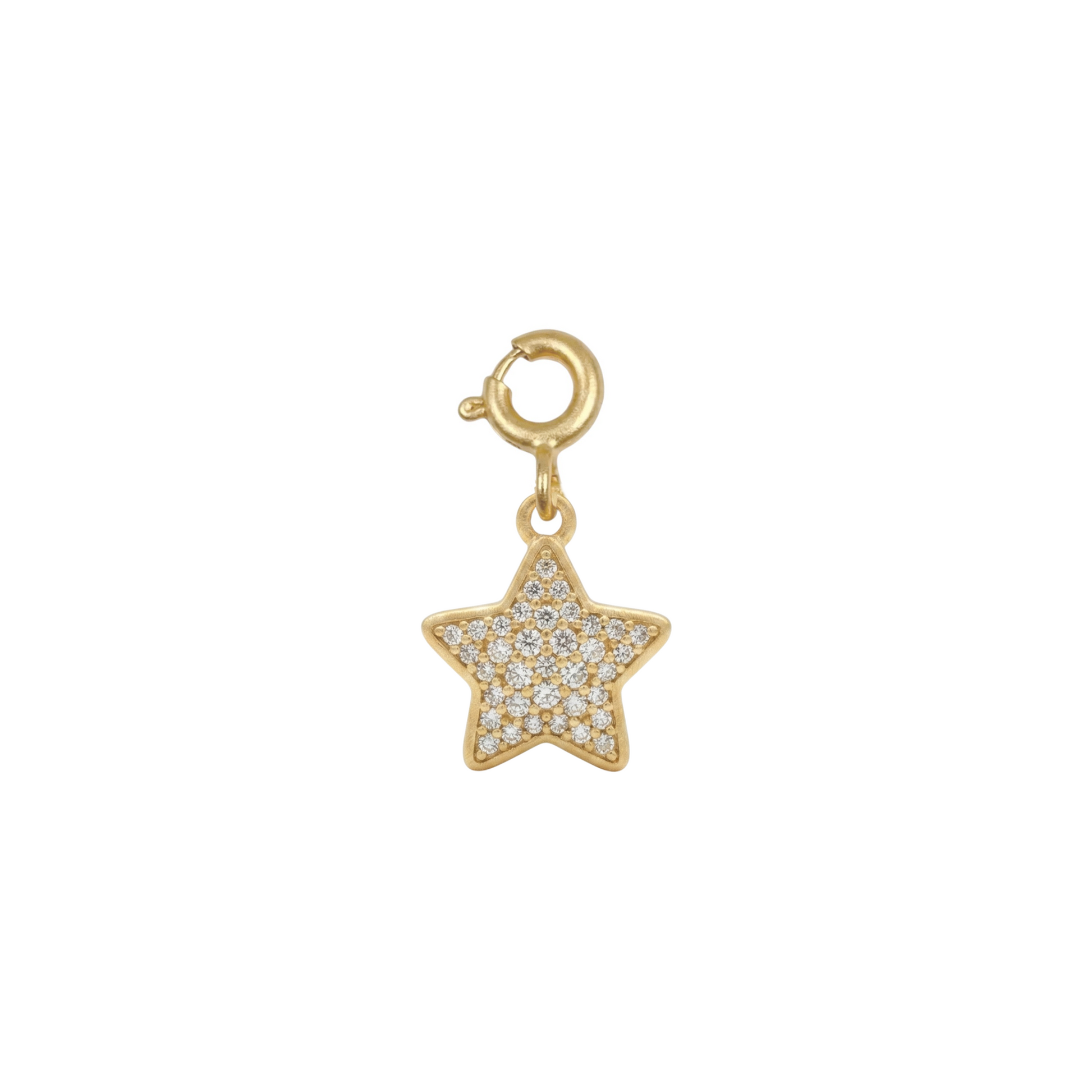 Shining Star Silver Charm