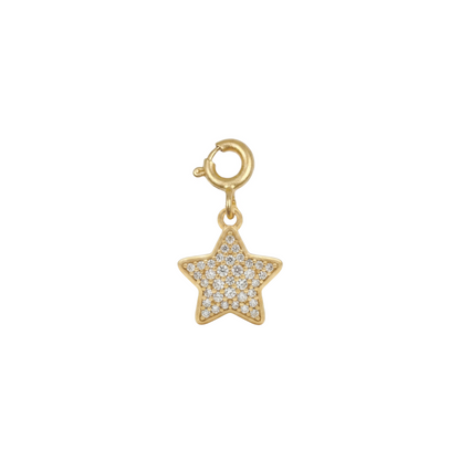 Shining Star Silver Charm