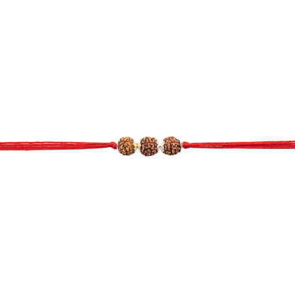 Trividh Rudraksha Silver Rakhi